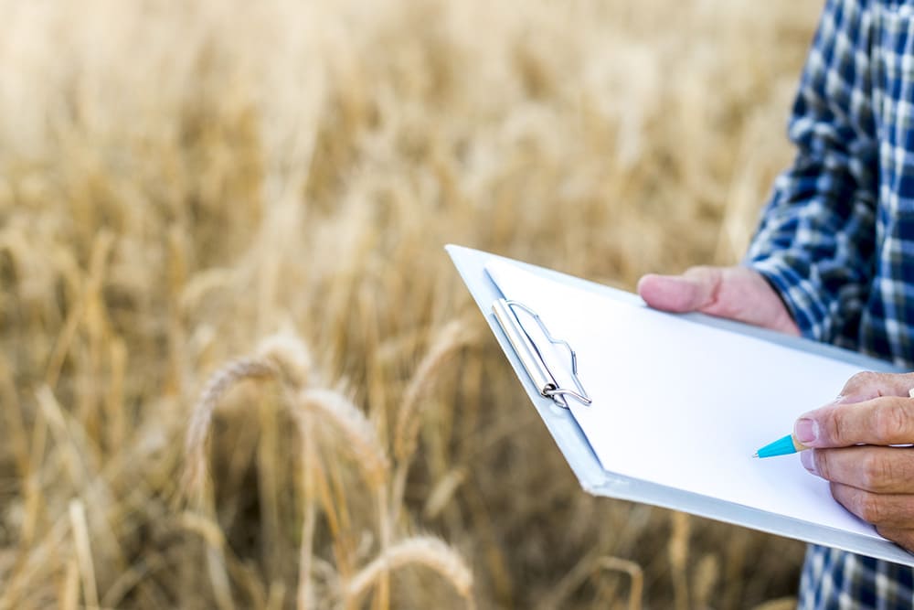 Soluzioni assicurative per agricoltura e allevamento Polizze agricole contro eventi atmosferici e danni a bestiame